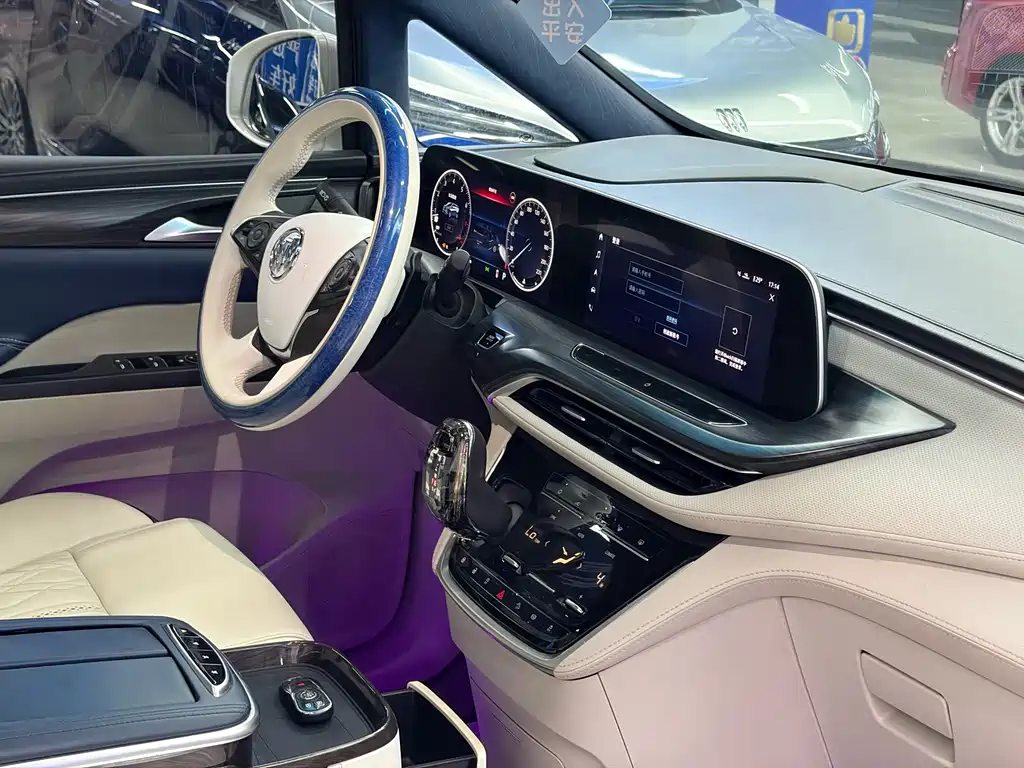 Buick GL8 — миниатюра 20