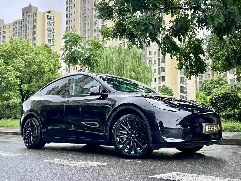 Tesla Model Y — миниатюра 2