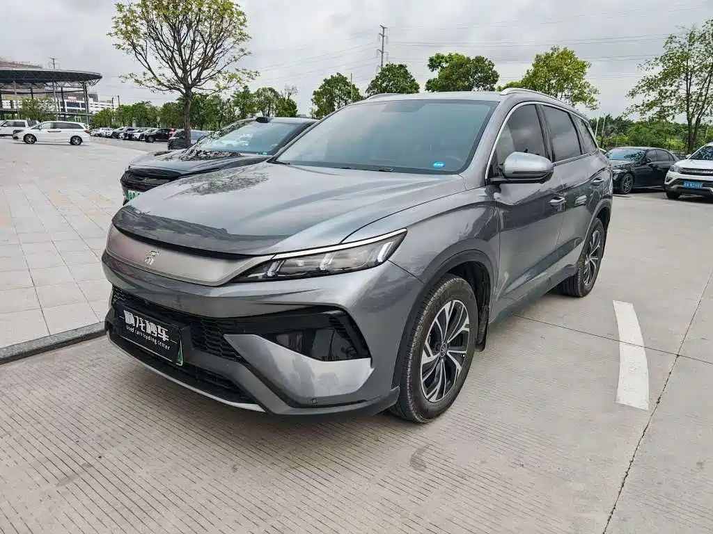 Byd Pro New Energy 2024
