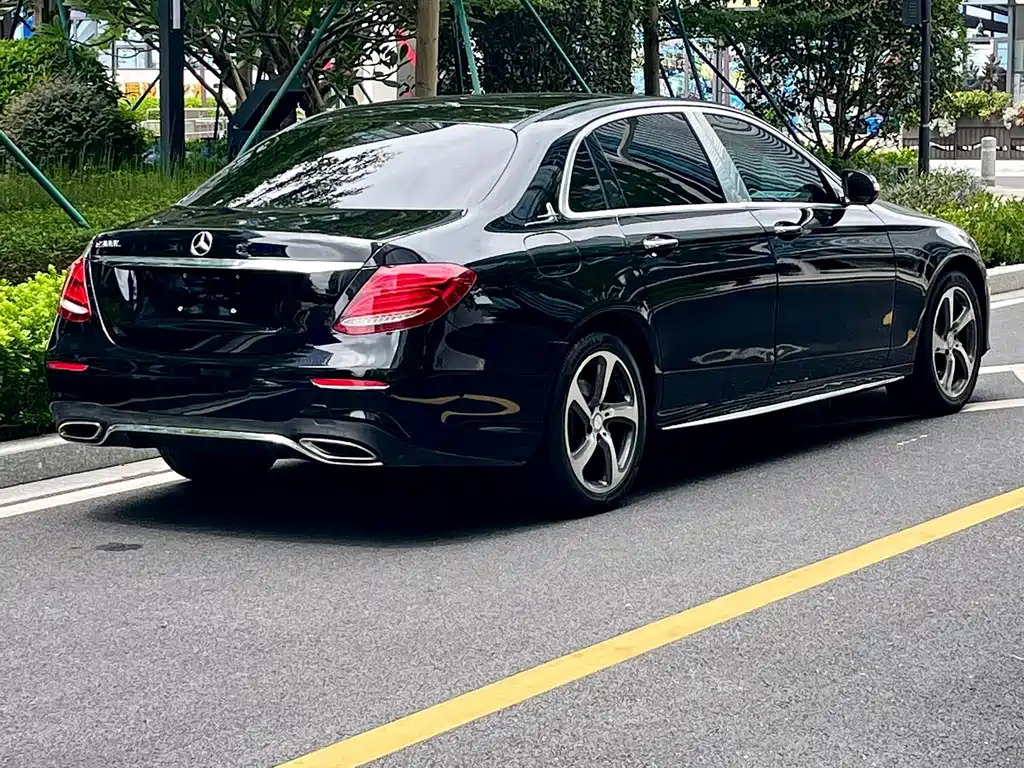Mercedes-Benz E-Class E 300 L Luxury Type, фото 14
