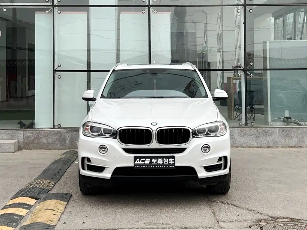 BMW X5 (Import) — миниатюра 2