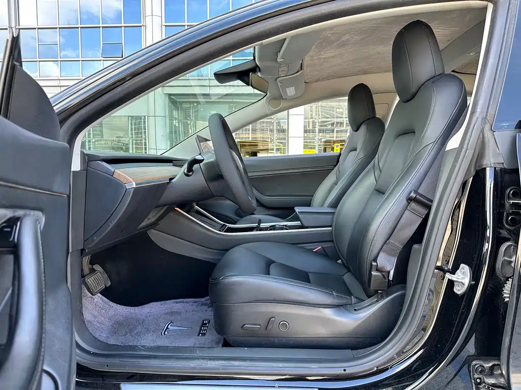 Tesla Model 3 — миниатюра 20