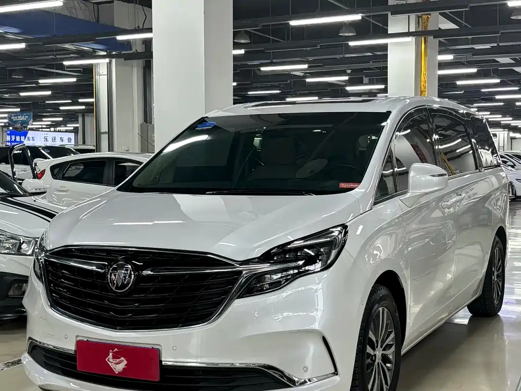 Buick GL8 2022 ES LandKing 653T Premium Type