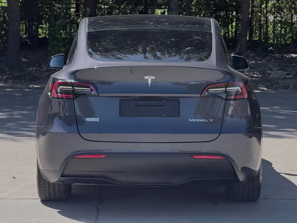 Tesla Model Y — миниатюра 5