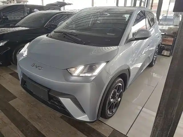 2024 BYD Seagull