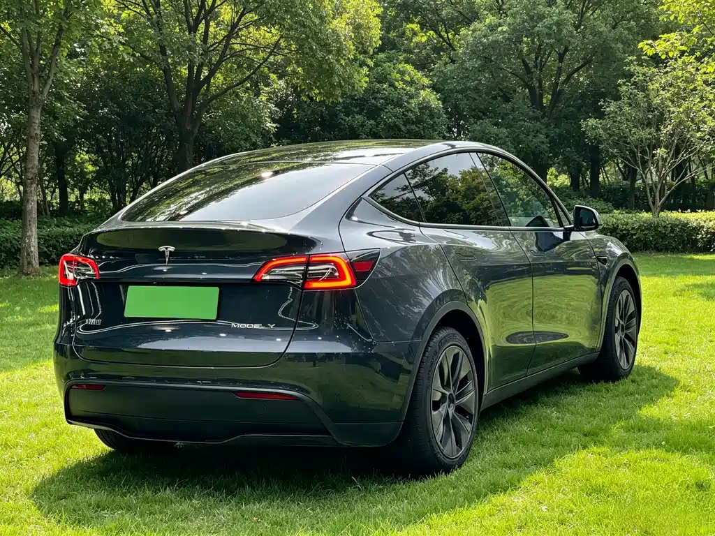 Tesla Model Y — миниатюра 6