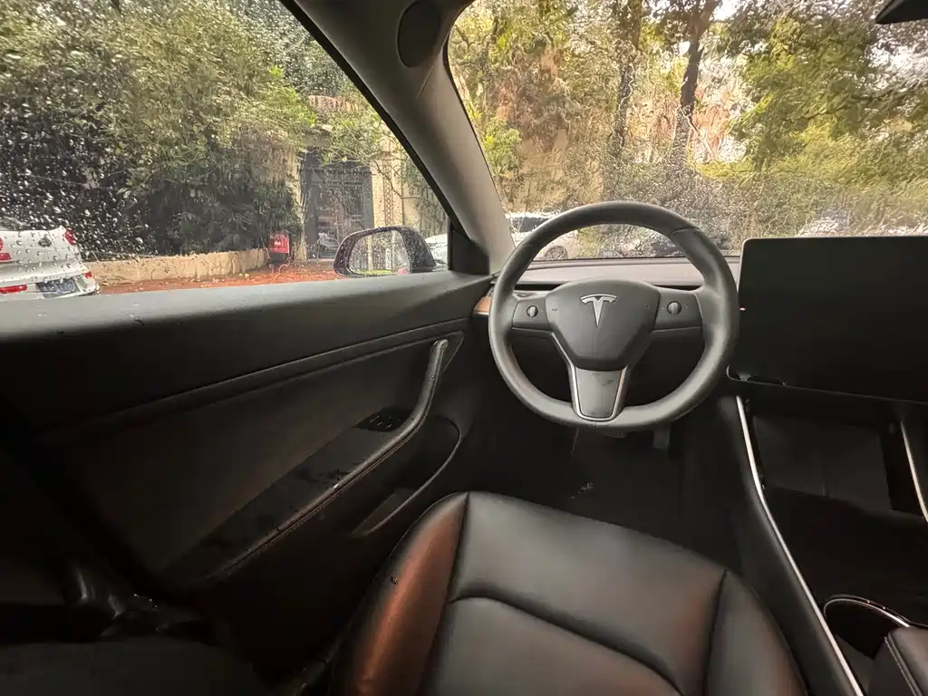 Tesla Model 3 — миниатюра 9