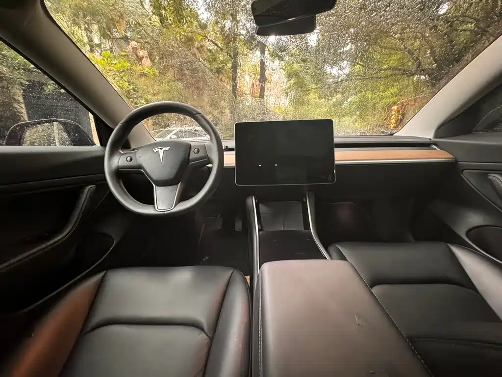 Tesla Model 3 — миниатюра 8