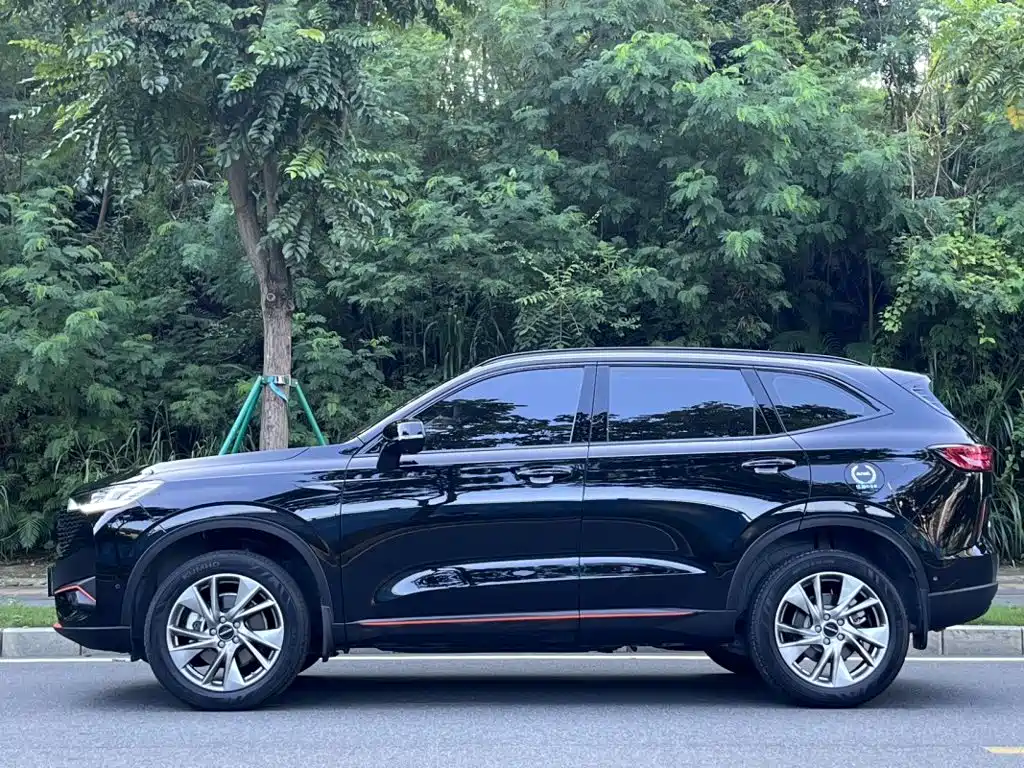 Haval H6 — миниатюра 3