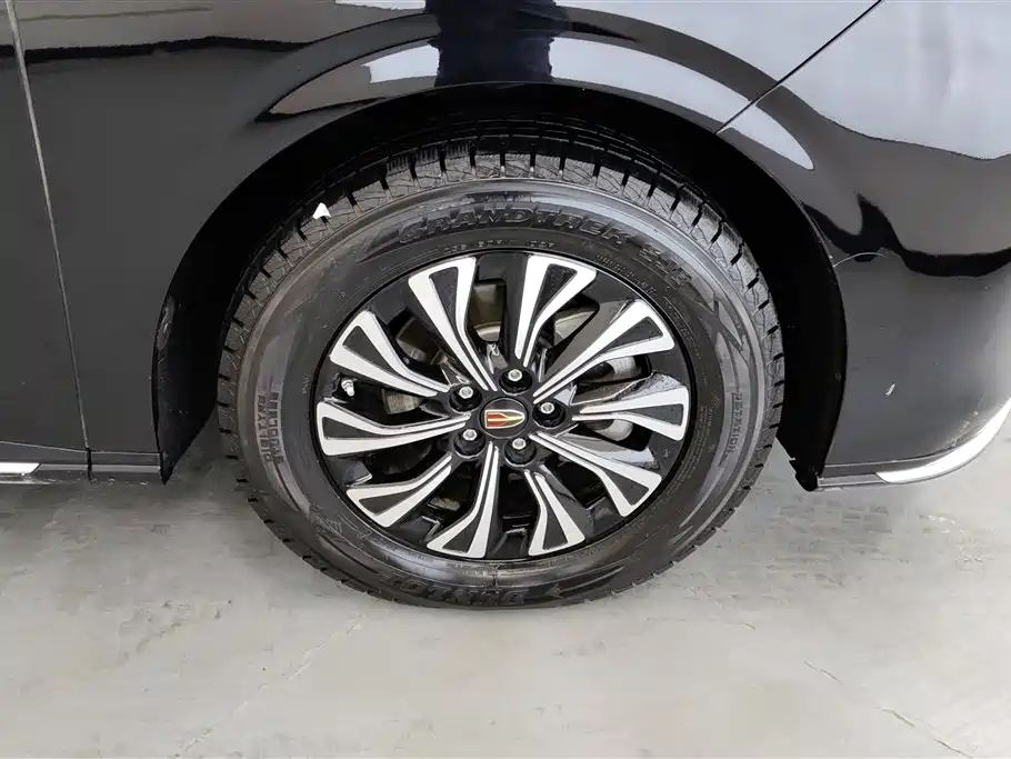 Hongqi HQ9 PHEV 2024 2.0T