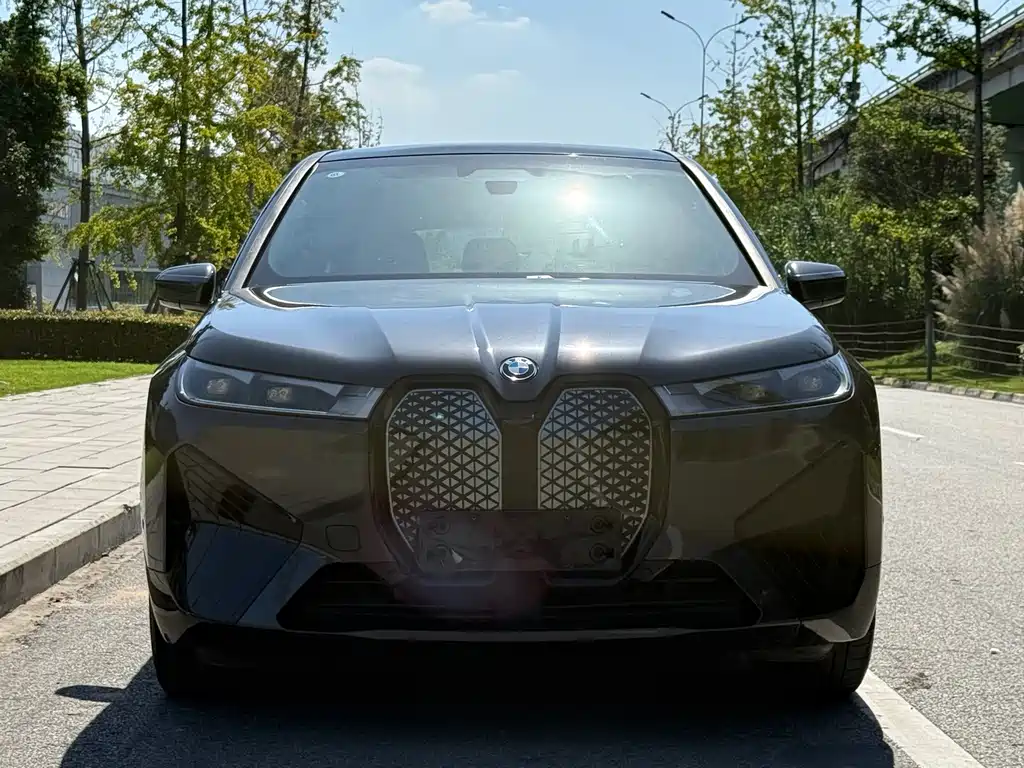 BMW iX — миниатюра 7