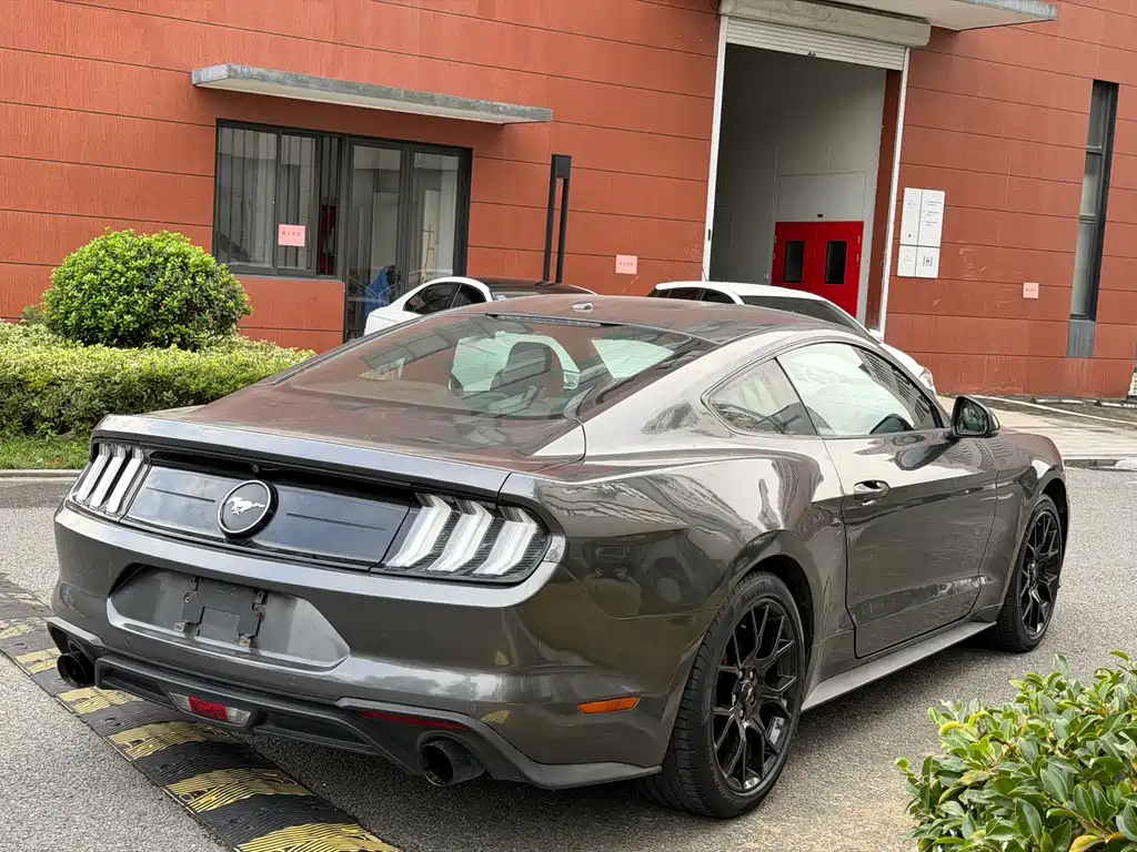Ford Mustang — миниатюра 15