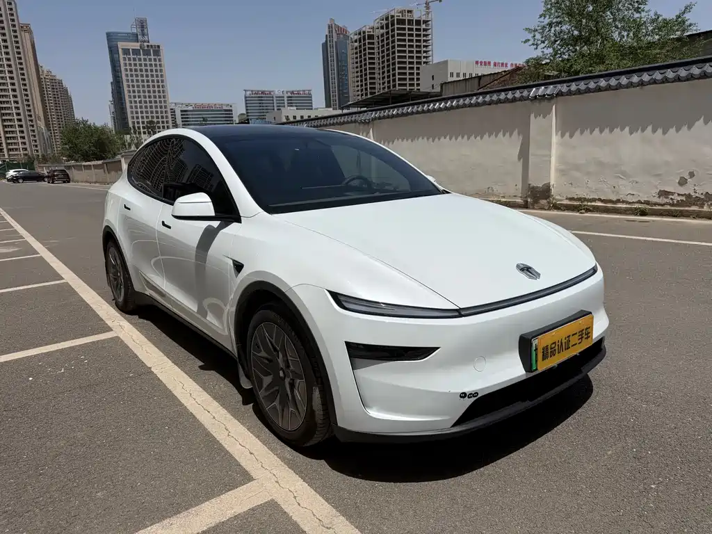 Tesla Model Y L