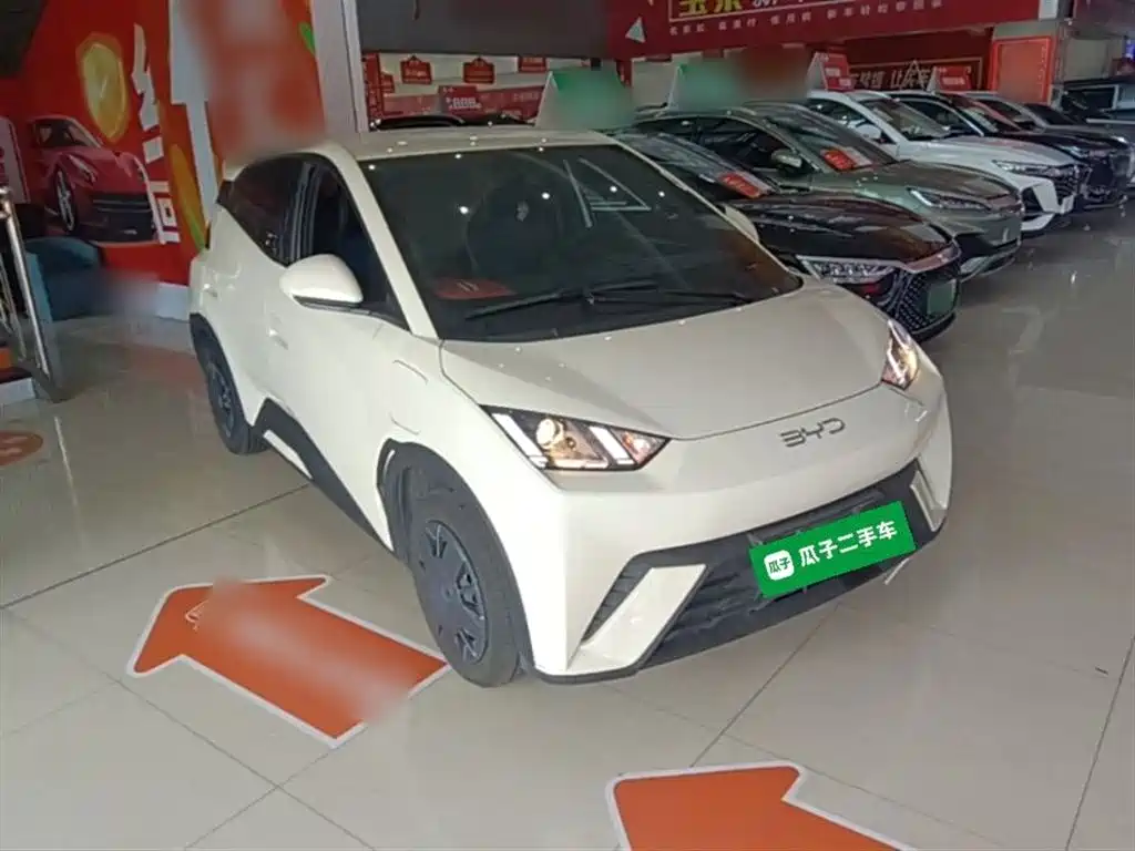 BYD Seagull 2025 305km