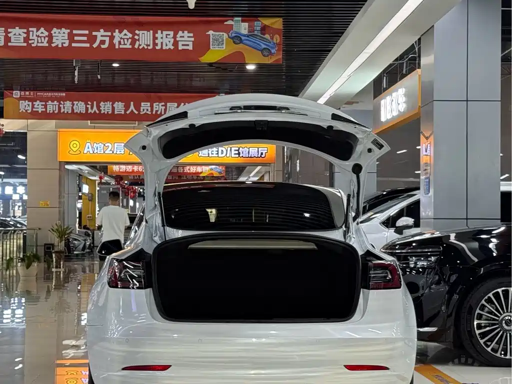 Tesla Model 3 — миниатюра 6