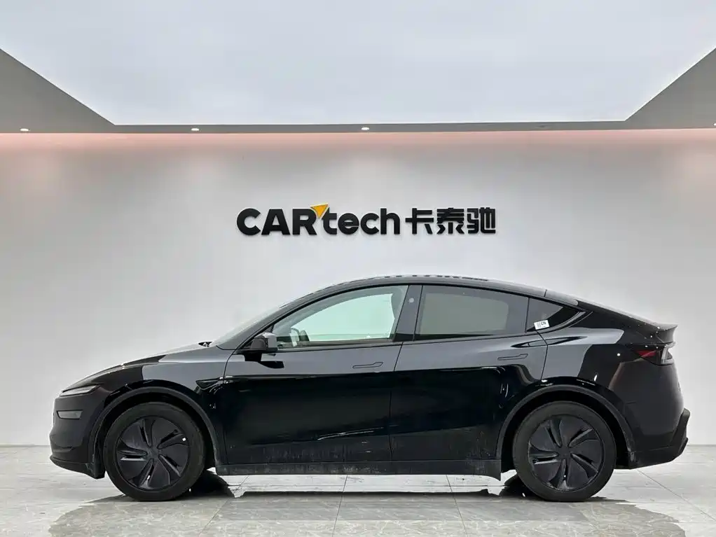 Tesla Model Y — миниатюра 2