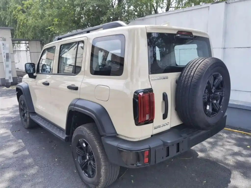 Tank 300 2025 2.0T