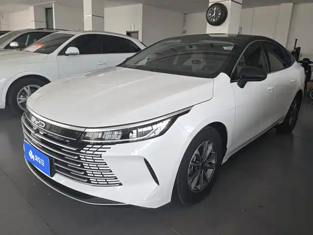 2025 BYD Destroyer