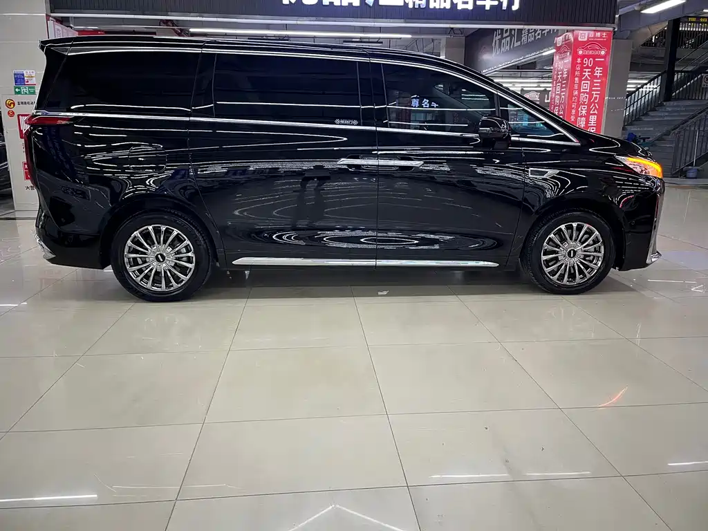 Wey Wey Gaoshan New Energy — миниатюра 18