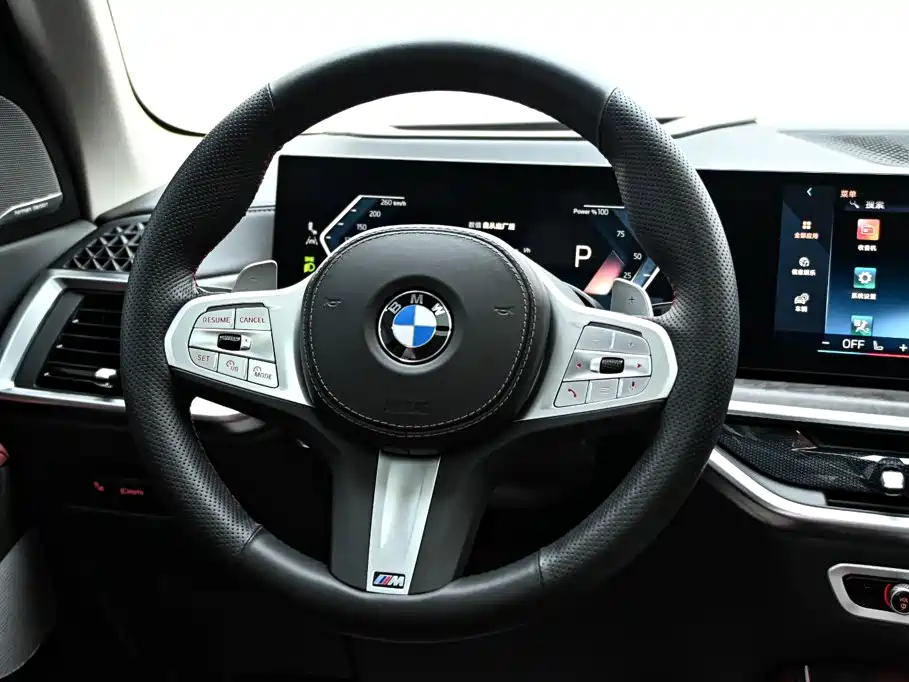 BMW X5 — миниатюра 19