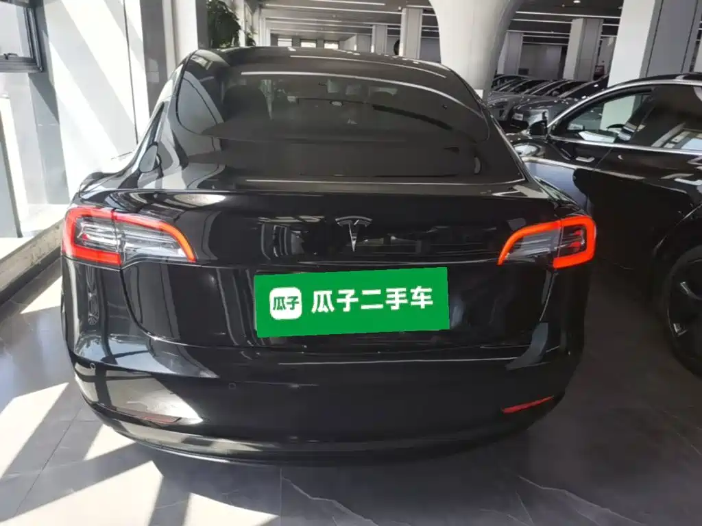 Tesla Model 3 — миниатюра 6