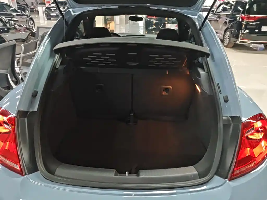 Volkswagen Beetle — миниатюра 19
