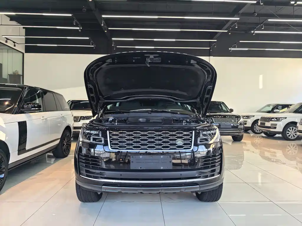 Land Rover Range Rover — миниатюра 15