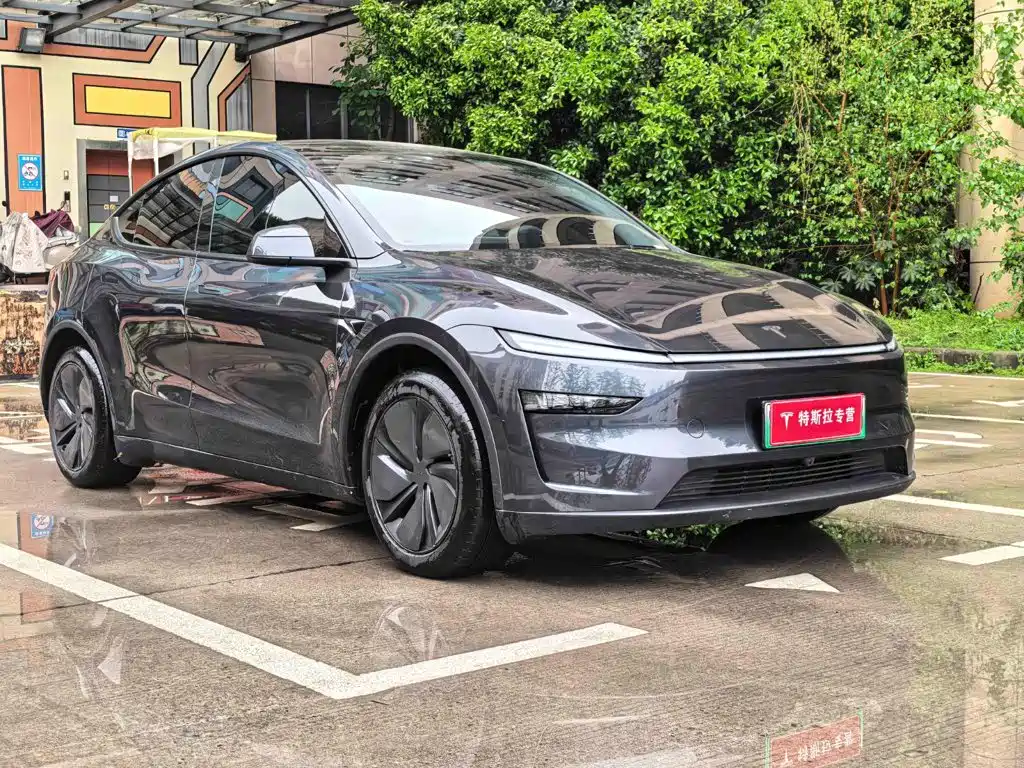 Tesla Model Y — миниатюра 3