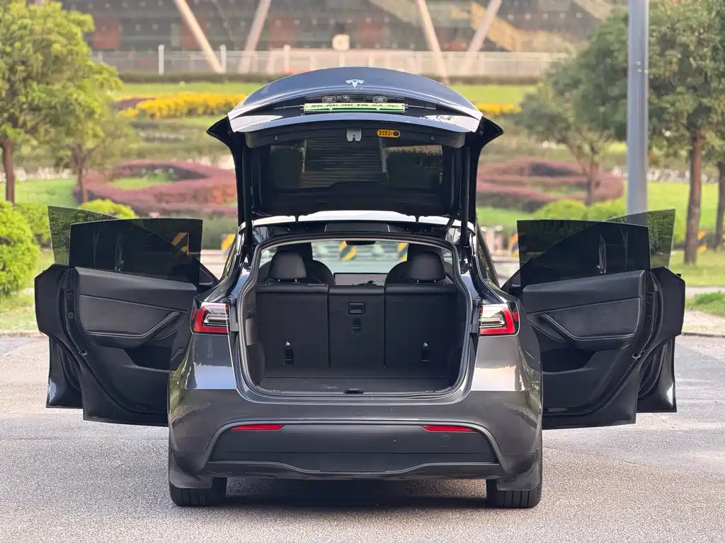 Tesla Model Y — миниатюра 16