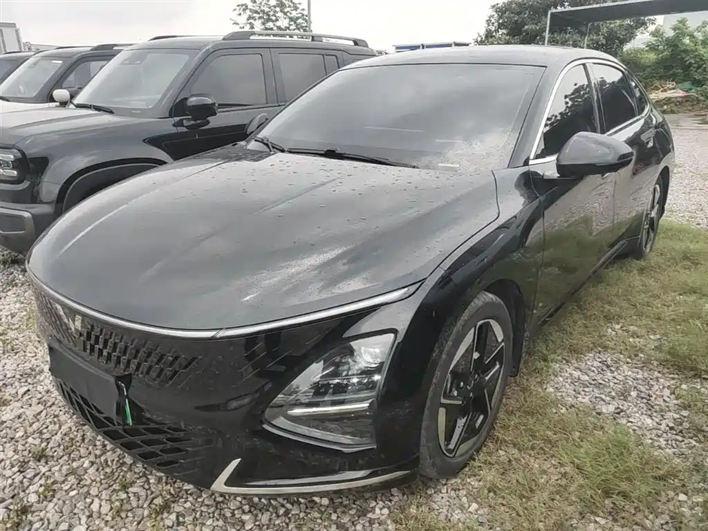 Wuling Xingguang 2024