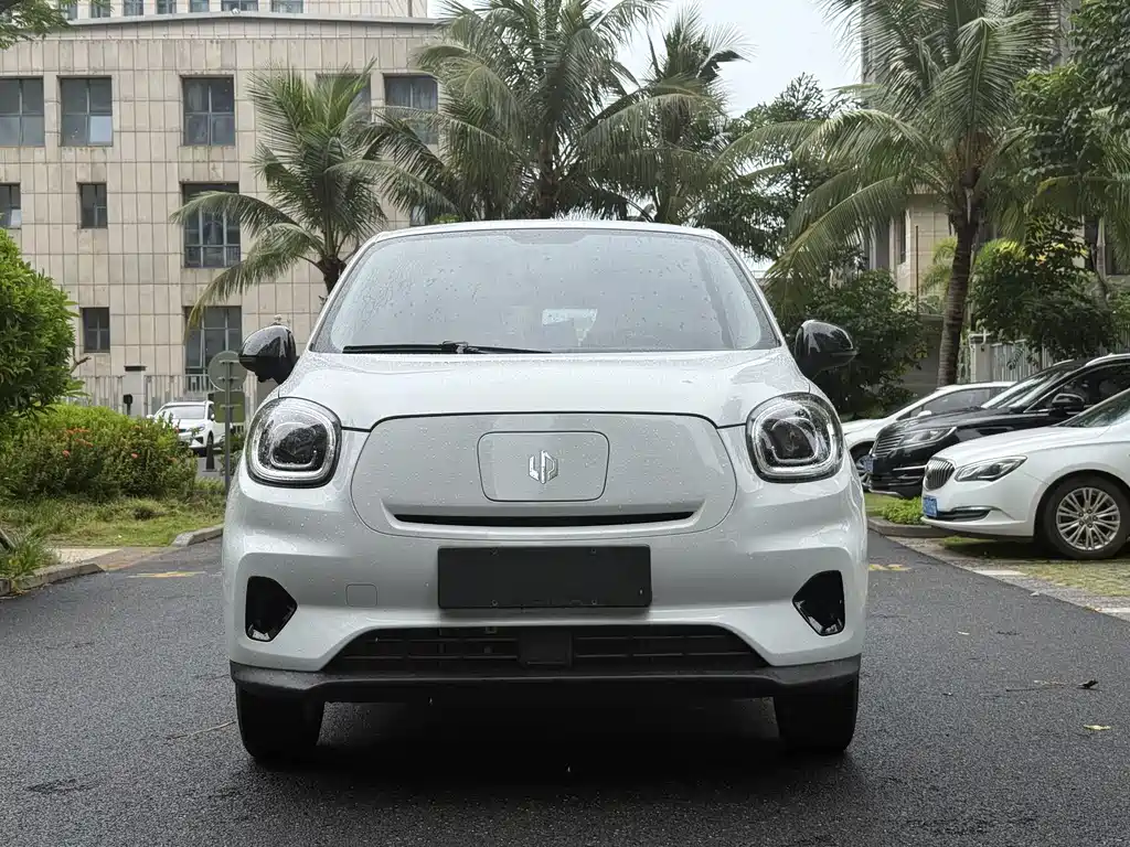 Leapmotor T03 2024 310