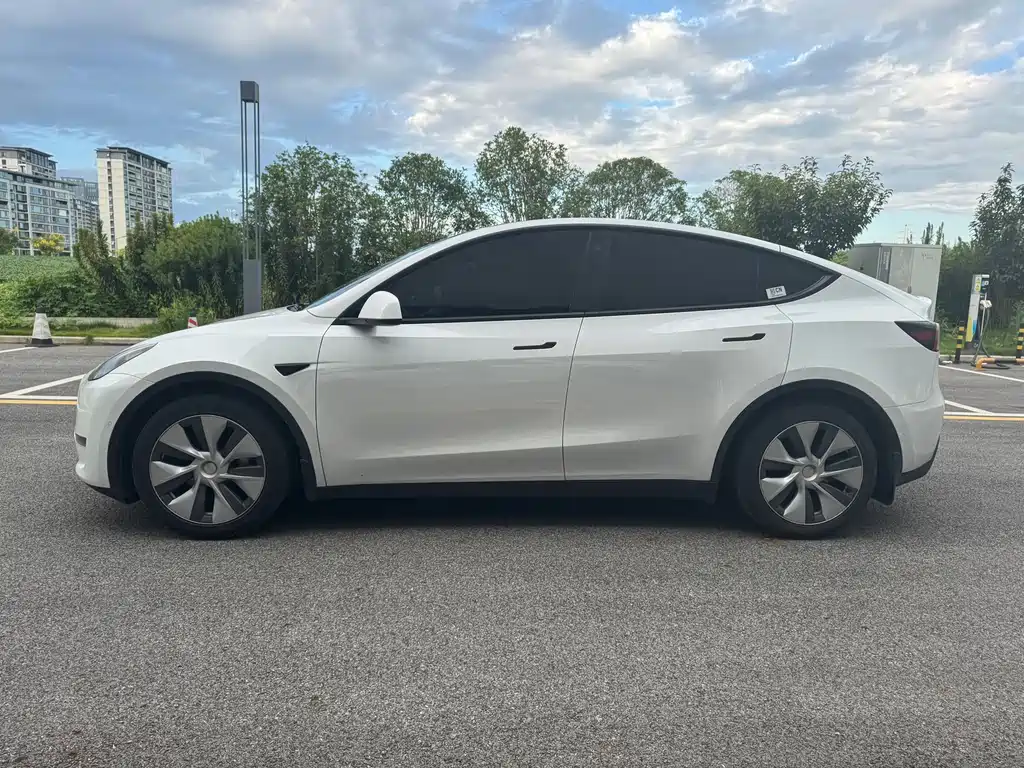 Tesla Model Y — миниатюра 3