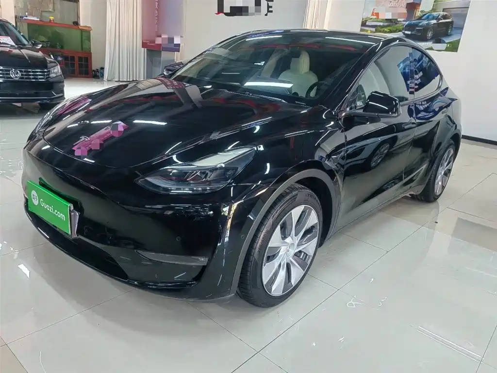 Tesla Model Y 2021 Standard Range RWD Edition