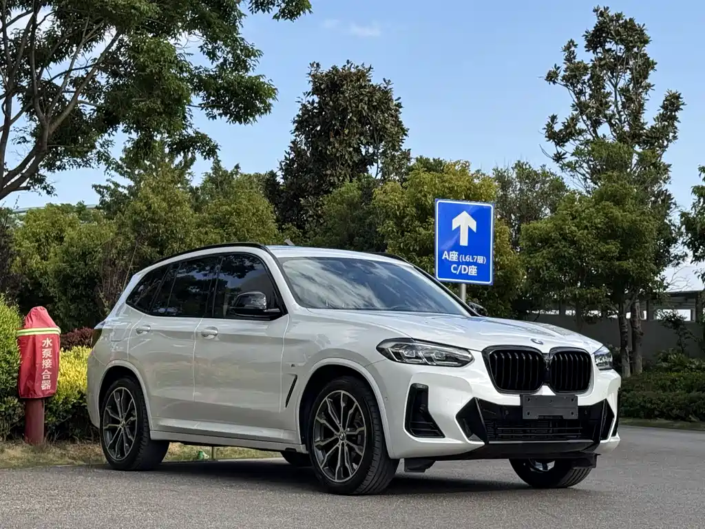 BMW X3 2023 xDrive30i Lead M