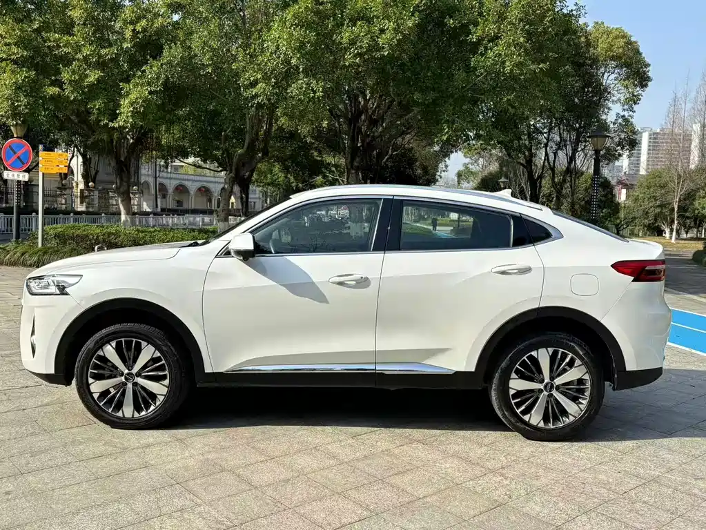Haval F7x — миниатюра 4