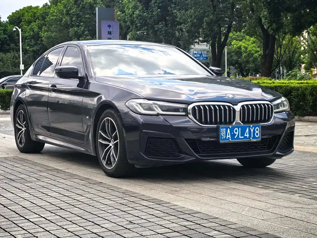 BMW 5 Series (Import) — миниатюра 3