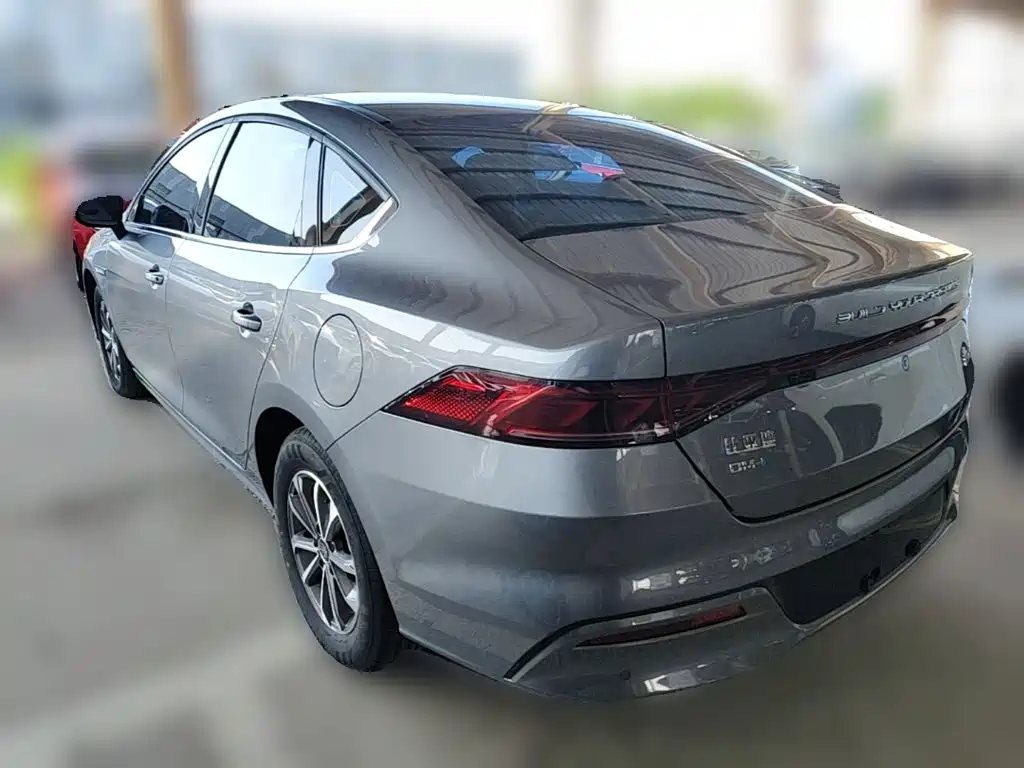 BYD Qin Plus PLUS 2023 Champion DM-i 55KM Lead