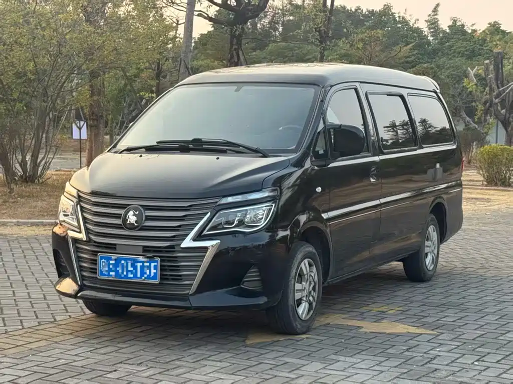 DONGFENG LINGZHI