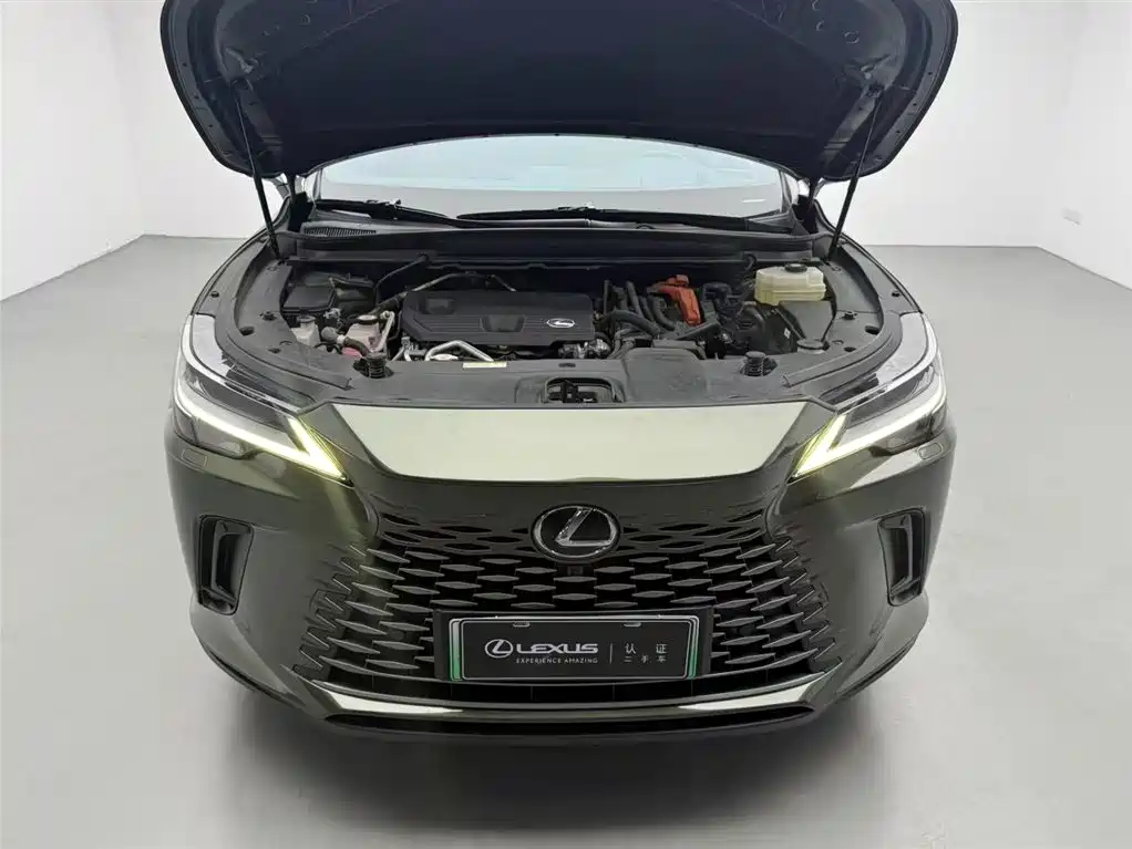 LEXUS RX NEW ENERGY