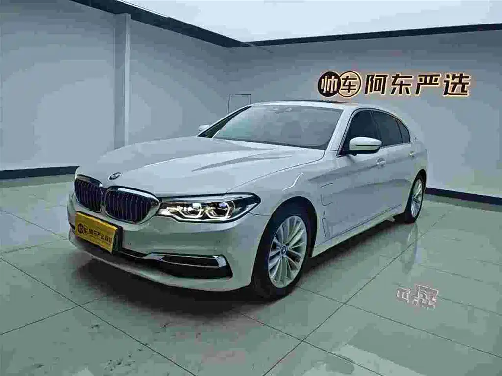 BMW 5 SERIES NEW ENERGY