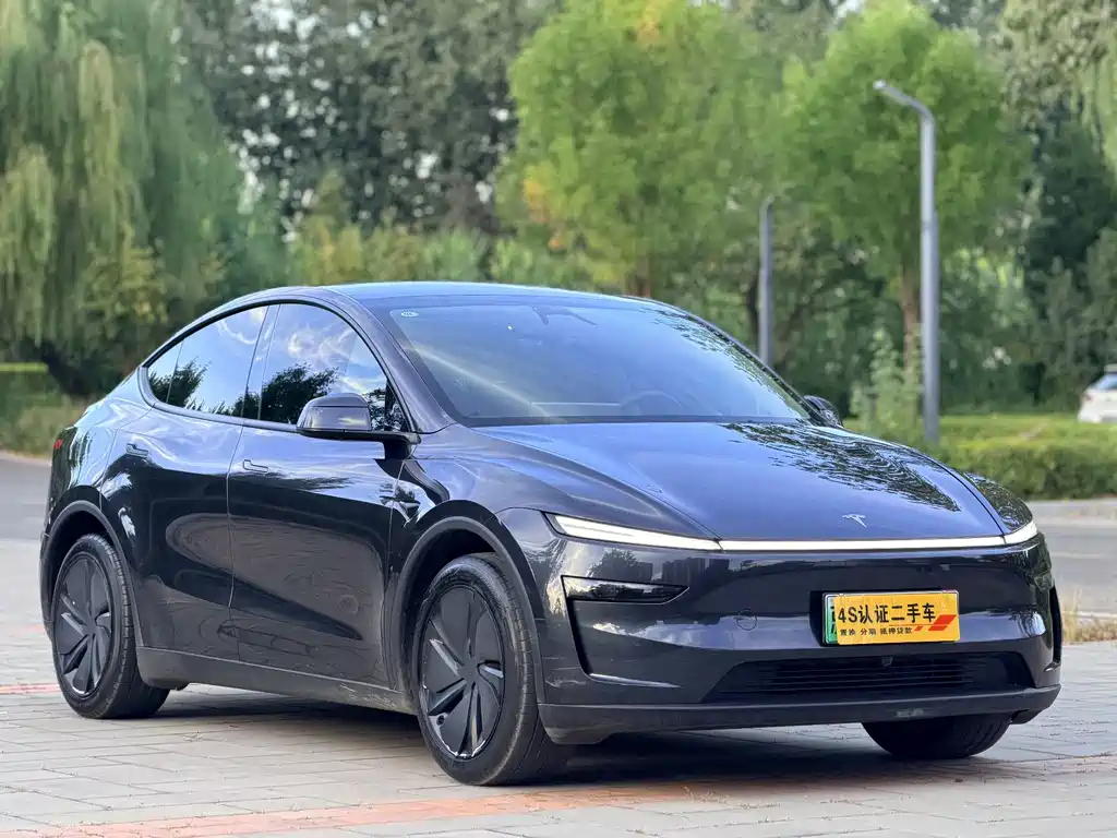 Tesla Model Y — фотографии объявления, Фото 4
