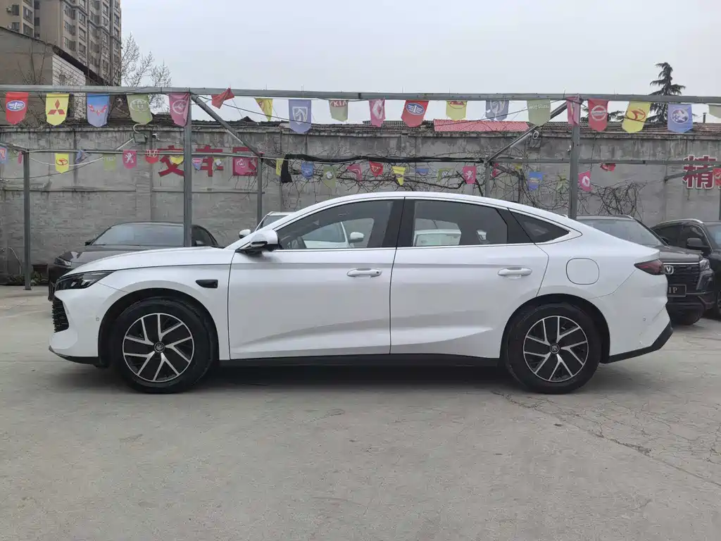BYD QIN L