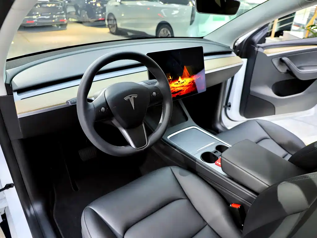 Tesla Model Y — миниатюра 9