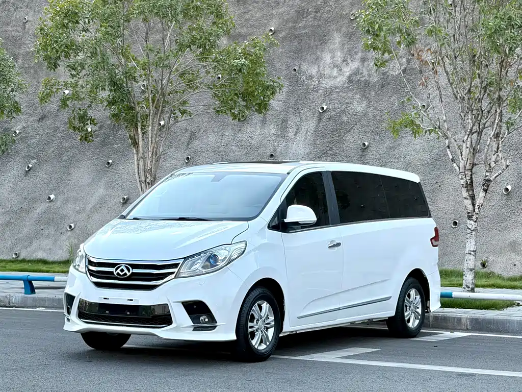 Maxus G10