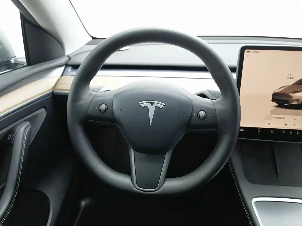 Tesla Model Y — миниатюра 11