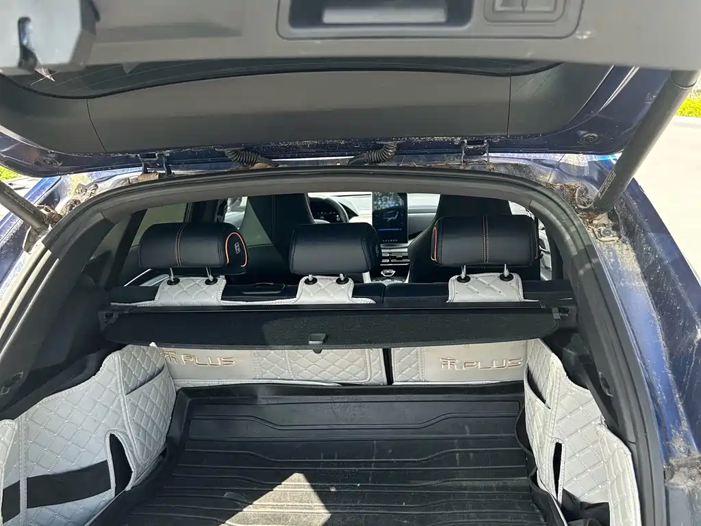 BYD PLUS New Energy — миниатюра 12