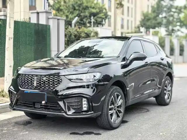 2020 Wey VV5