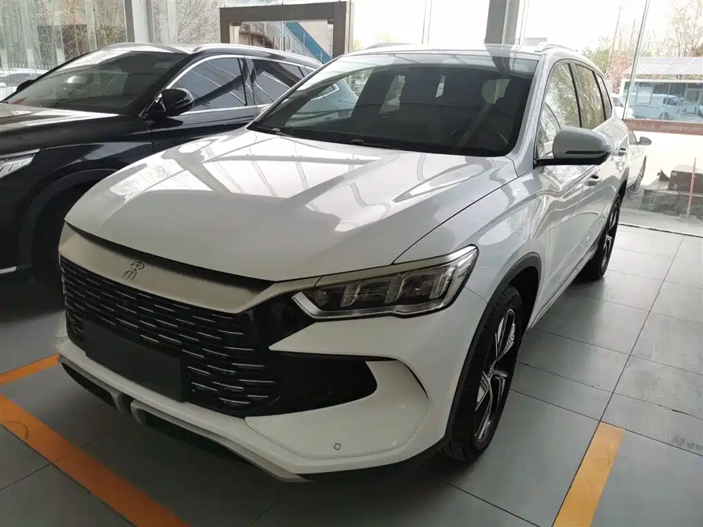 Byd Pro New Energy 2024