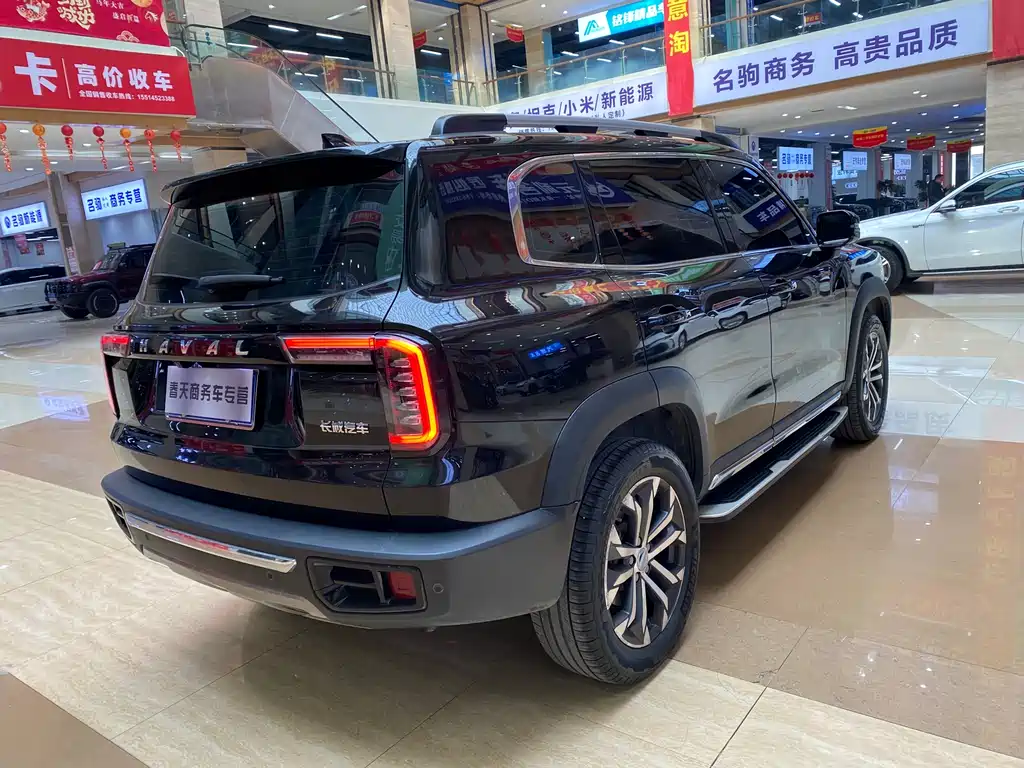 HAVAL BIG DOG