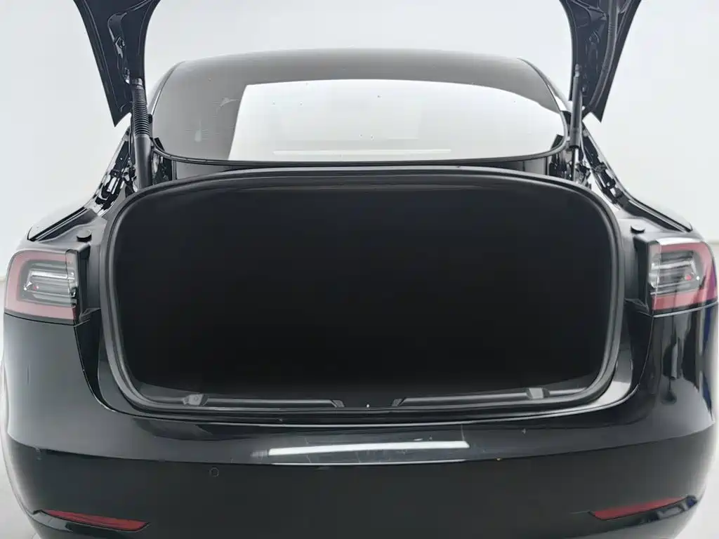 Tesla Model 3 — миниатюра 16